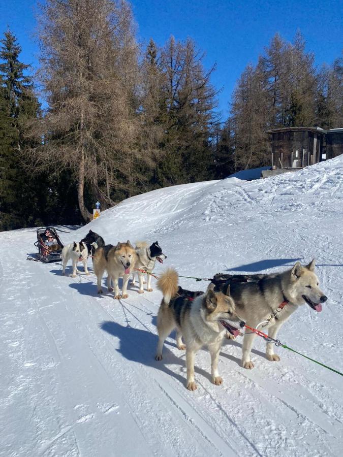 דירות לה פלאנייה Plagne Bellecote - 5 Pers - Vue Pistes - Acces Piscine Chauffee מראה חיצוני תמונה